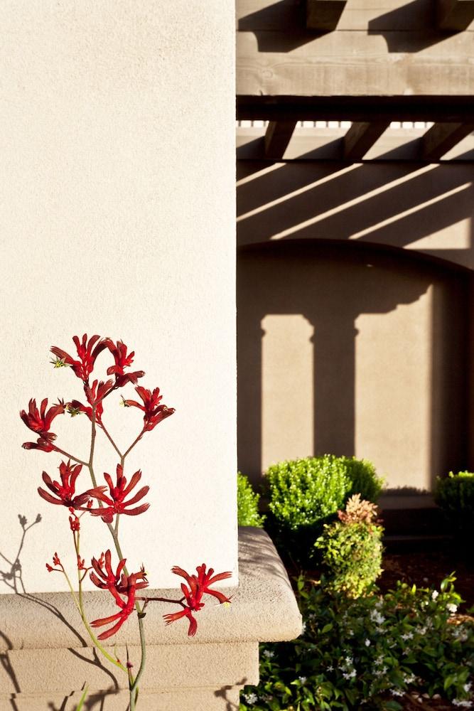 Hampton Inn & Suites Arroyo Grande Bagian luar foto